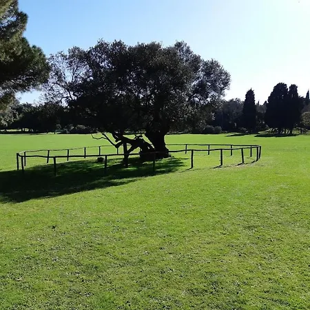 In Pula With Swimming Pool Willa Pula