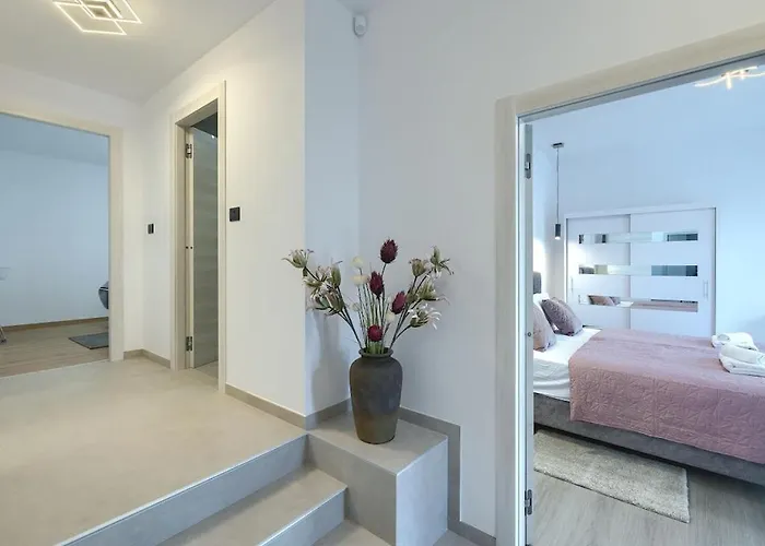 In With Swimming Pool Villa Pula